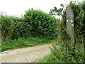SE3837 : Barwick and Scholes parish paths waymarks by Christine Johnstone