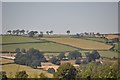 SS9716 : Tiverton : Hillsides, Fields & Trees by Lewis Clarke