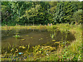 Orford Park Pond