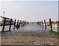 Cobbled slipway at Gillingham pier