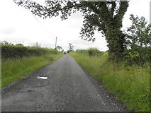 H5316 : Road at Killynenagh by Kenneth  Allen