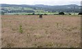 Windhill standing stone