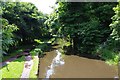 Staffordshire & Worcestershire Canal, Kidderminster