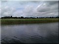 Lough Erne, Devenish