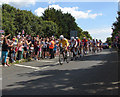 Olympic cycle race