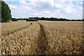 Tracks in Crop Field, near Heron Cottage