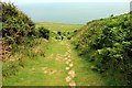 SH8182 : Disused Quarry Incline, Little Orme by Jeff Buck