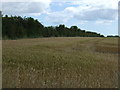 Farmland near Duddo Hill