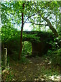 SU9119 : Old railway bridge over footpath by Little London (1) by Shazz