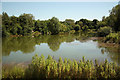 SK6955 : Maythorne fishing pond by Richard Croft