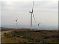 SD8417 : Wind Turbines at Scout Moor Wind Farm by David Dixon