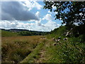 Footpath near Romeley Hall Farm