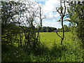 Hoodcroft, a farm near Barlborough