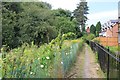 Footpath from Cirencester Road to Morlands Drive