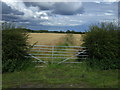 NZ3174 : Field entrance off the A192, Holywell by JThomas