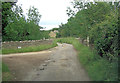 Purrants lane passes entrance to Leafield Pig Farm