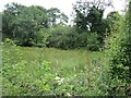 Field south of Belleek