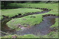 Meandering brook