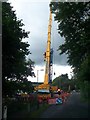 NU0501 : Extending crane working on the bridge reconstruction by David Clark