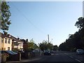 ST6387 : Row of houses opposite Alveston church by David Smith