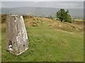 Trig point on Gun, looking east towards the Roaches