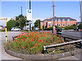 Brierley Poppies