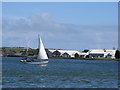 W7965 : Haulbowline Island and yacht, Cork Harbour by David Hawgood