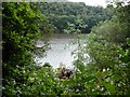 Rudyard Lake