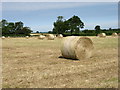 Fields near Churngate Farm