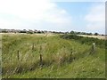 Former trackbed of Sheppey Light Railway