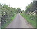 Cogges Lane north of Beard Mill Farm