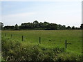 Fields near Shepperdine