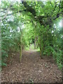 Footpath from Birling to Paddlesworth