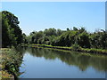 The Grand Union Canal south of Ovaltine Drive, WD4