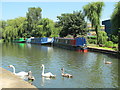 The Grand Union Canal north of Home Park lock (no.70)