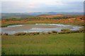 Pond near Bryncarnedd