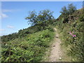 Footpath, near Ashton Cleave