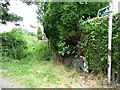 Rather overgrown public footpath, Brierley