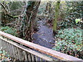 Nant Gwaunybara near Caerphilly