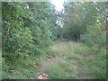 The trackbed of the East Lincolnshire Line