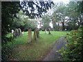 The churchyard at Authorpe