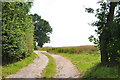 Farm track off Shackerley Lane