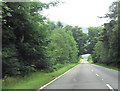 A83 through the woods at Cairndow