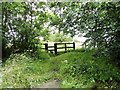 Path leading to Stanleyburn Farm