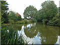 Pond by public footpath