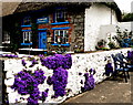 R4646 : Adare - Main Street - The Blue Door Restaurant Cottage by Joseph Mischyshyn