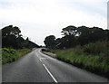 Coastal road heading for West Haven and Carnoustie