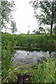 Picnic Spot in Brockwell Meadows