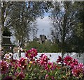 Alnwick Castle from the Roots and Shoots Garden