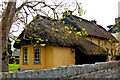 R4646 : Adare - Main Street - Yellow Thatched-Roof Cottage Dwelling  by Joseph Mischyshyn
